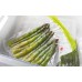 Аксесоар за електродомакинска техника BOSCH MSZV0FB3 Set of 10 large vacuum bags with zipper (3.8 l)