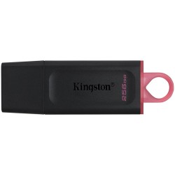 Флаш памет KINGSTON DTX/256GB Флаш памет KINGSTON DTX/256GB