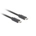 Кабели LANBERG USB-C M/M 3.1 GEN 2 CABLE 1.8M 10GB/S PD100W Black
