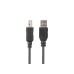 Кабели LANBERG Cable USB-A(M)->USB-B(M) 2.0 Ferrite 1.8m Box Black Кабели LANBERG Cable USB-A(M)->USB-B(M) 2.0 Ferrite 1.8m Box Black