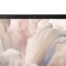 Лаптоп DELL Pro 14 Premium PA14250