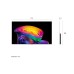 Телевизор LG OLED77C61LA Телевизор LG OLED77C61LA